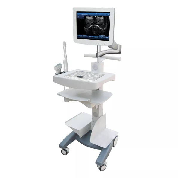 HBW-100Touch Screen Trolley B/W Ultrasound scanner